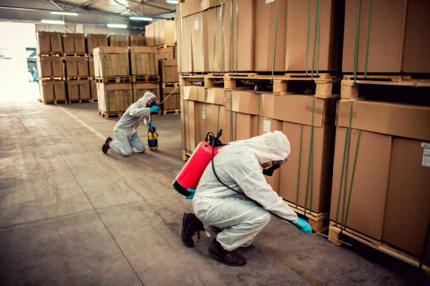 Best Ant Control Services  in Maugansville, MD