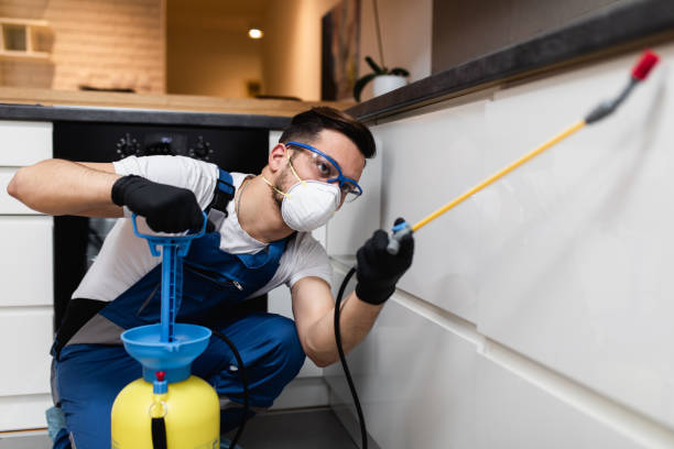 Best Pest Control Near Me  in Maugansville, MD