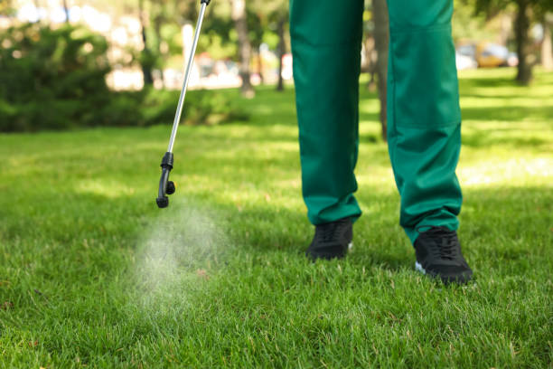Best Bed Bug Extermination  in Maugansville, MD