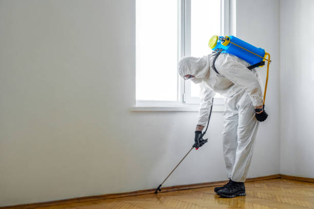 Best Mosquito Control Services  in Maugansville, MD