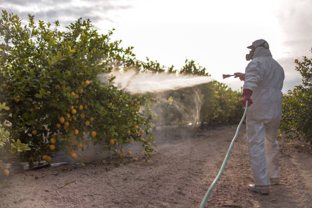 Pest Prevention Services in Maugansville, MD