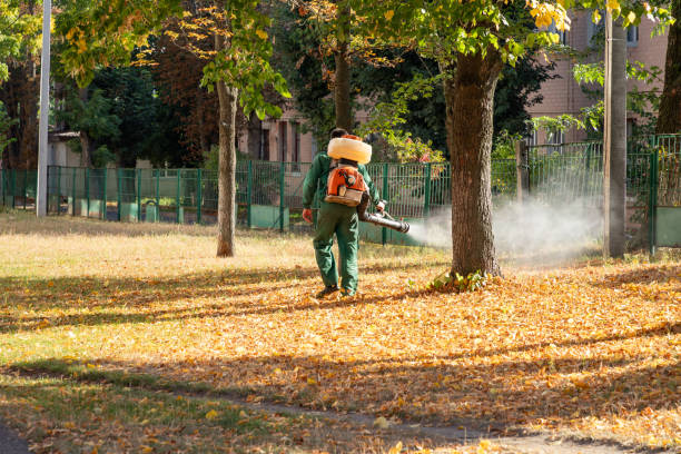 Best Bird Control  in Maugansville, MD